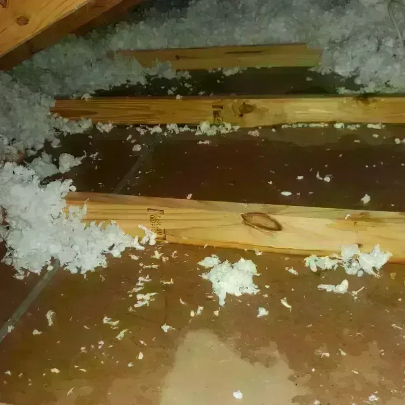 Attic Water Damage in Escondido, CA